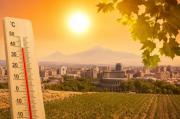Img default alt hy